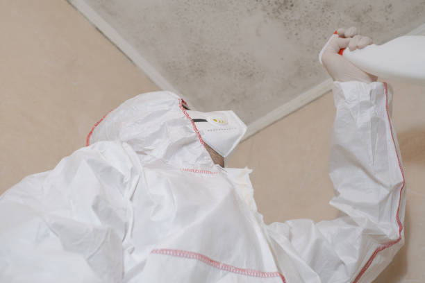 Best Residential Mold Removal  in Meadow Oaks, FL